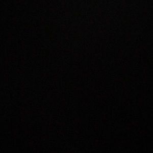 Meet your Posher, Gissel